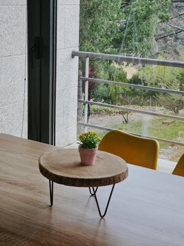 a table with a potted plant on top of it at Junção - Apartamentos Completos in Miranda do Douro