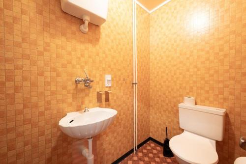 a bathroom with a toilet and a sink at 24 - Gästehaus Erika - Hundwil - Appenzellerland in Hundwil
