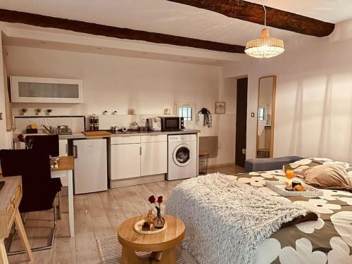 - une cuisine et un salon avec un lit dans une chambre dans l'établissement Studio Oasis de paix centre Aix en Provence, à Aix-en-Provence