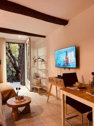 Studio Oasis de paix centre Aix en Provence
