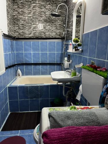 Gallery image of Apartamentul Flore in Oradea