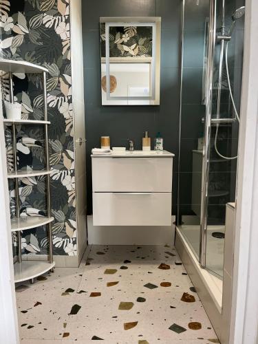 une salle de bain avec un lavabo et une douche dans l'établissement Centre Reims Cathédrale avec balcon, à Reims