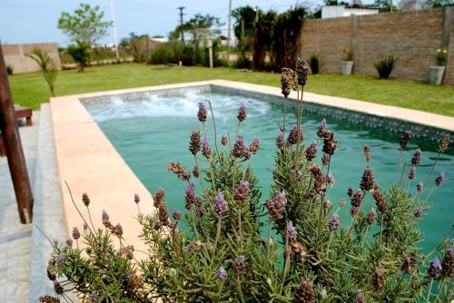 a swimming pool in a yard with flowers in the foreground at Suinda casa de campo in Corrientes