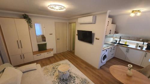 a living room with a kitchen and a living room at Mi Casa Plantas in Mosonmagyaróvár