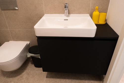 Un baño con lavabo e inodoro en Ella's Cozy place, en Liubliana