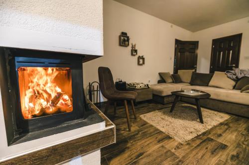 a living room with a fireplace and a couch at Zeleni svet 2 in Crni Vrh
