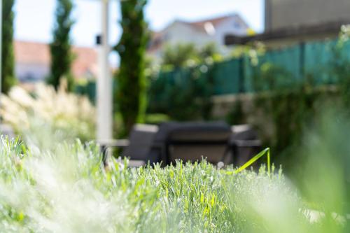 a field of grass with a bench in the background at Villa Lastva in Tivat