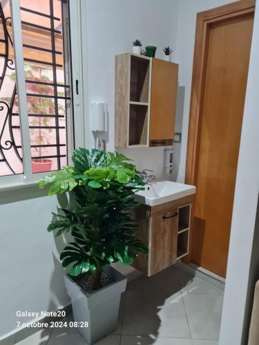 a bathroom with a sink and a potted plant at Chez Najib et Ziad in Temara
