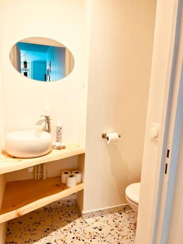 La salle de bains est pourvue d'un lavabo et de toilettes avec un miroir. dans l'établissement Cosy loft- Paris 17e - 4 pers, à Paris