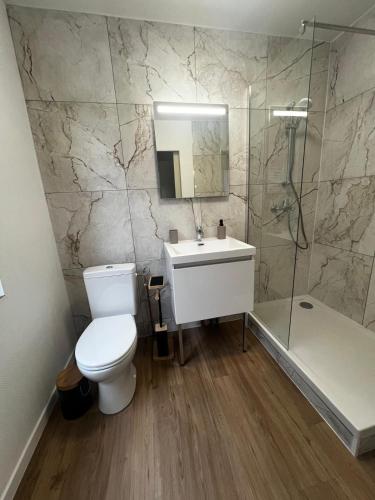 une salle de bain avec toilettes, lavabo et douche dans l'établissement Tout confort au porte de Strasbourg, à Strasbourg