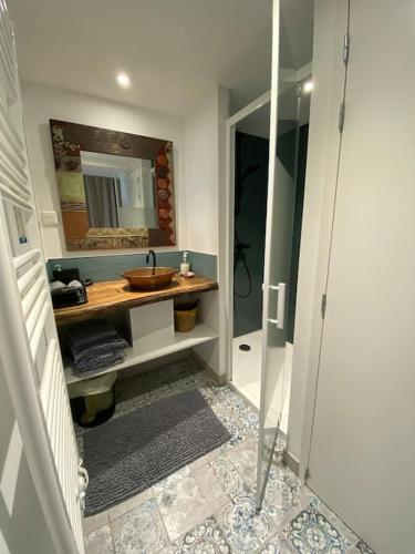 une salle de bain avec un lavabo et un miroir dans l'établissement Sea Lodge - Plage de Port Mer, Cancale, à Cancale
