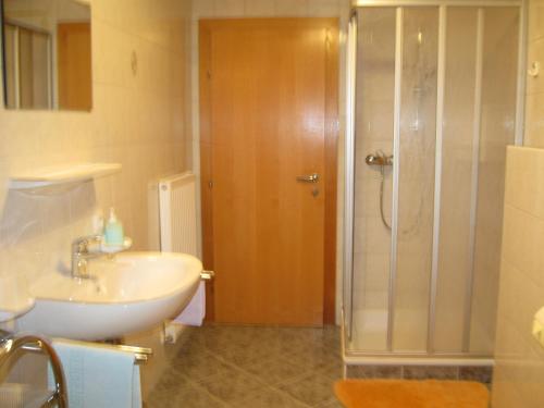 a bathroom with a sink and a shower at Haus Bilgeri in Nesselwängle