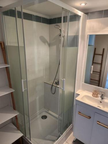 une salle de bain avec douche et lavabo dans l'établissement Appartement vue mer avec piscine, à Théoule-sur-Mer