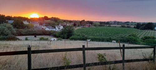 a farm with horses grazing in a field at sunset at Hill Top Hideaway Shepherds Hut with Hot Tub in Woodham Mortimer