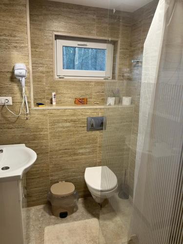 a bathroom with a shower and a toilet and a sink at Casa Phoenix in Molidu