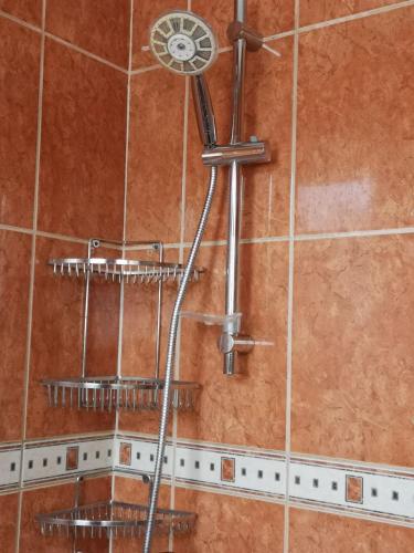 une douche avec pommeau de douche dans une salle de bain dans l'établissement Appartement moderne à Elbeuf, à Elbeuf