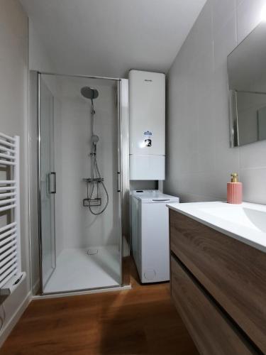 La salle de bains est pourvue d'une douche, d'un lavabo et d'un réfrigérateur. dans l'établissement T2, centre ville, au calme, à Vannes