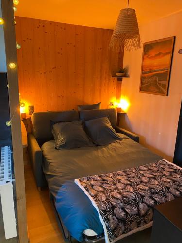 Ce lit se trouve dans une chambre dotée d'un mur en bois. dans l'établissement Au studio cosy, à Chorey-lès-Beaune