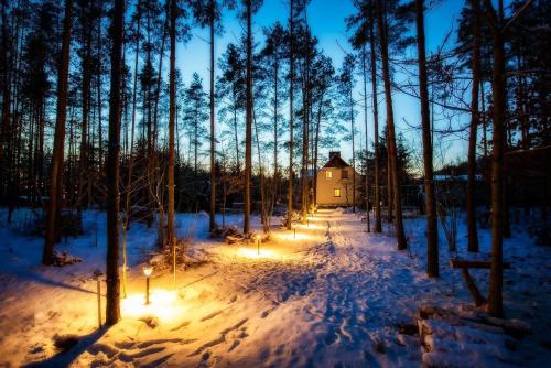 a house in the woods with lights in the snow at Domek Leśny Cud koło Supraśla - Cisza i Spokój in Studzianki