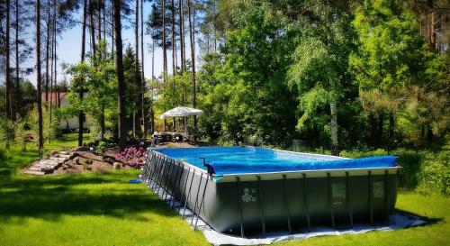 a swimming pool in the middle of a yard at Domek Leśny Cud koło Supraśla - Cisza i Spokój in Studzianki