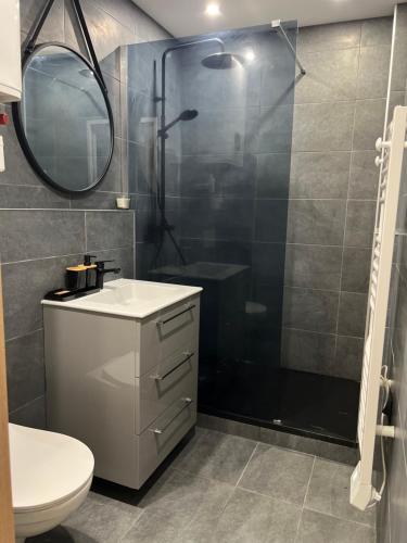 une salle de bain avec une douche, un lavabo et des toilettes dans l'établissement Studio Relax, à Rouen