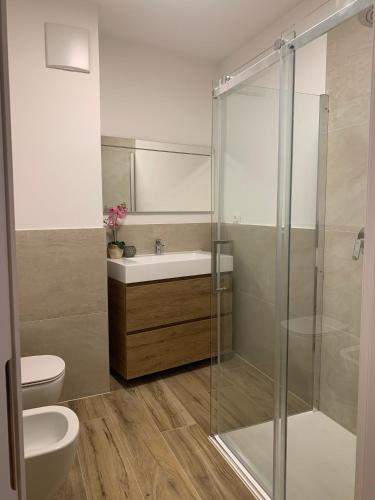a bathroom with a shower and a toilet and a sink at Loft l'Alessandra in Bolzano