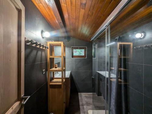 une salle de bain avec une douche en verre et un lavabo dans l'établissement Chalet des Belles Roches, 14 pers, garden, sauna, à La Bresse