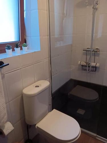 a white bathroom with a toilet and a shower at Casa Do Cacho in Arcos de Valdevez