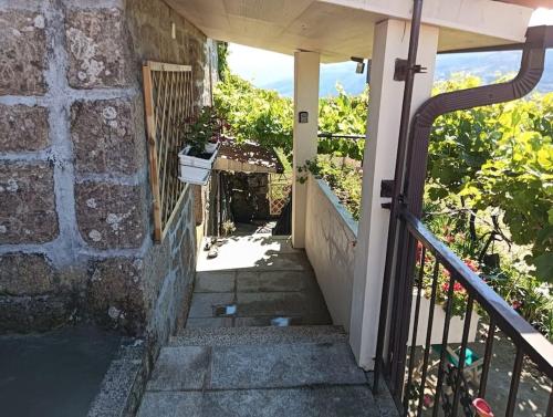 a stairway to a house with a plant in a pot at Casa Do Cacho in Arcos de Valdevez