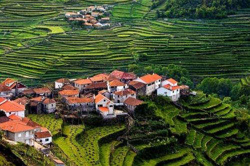 a village in the middle of a green field at Casa Do Cacho in Arcos de Valdevez
