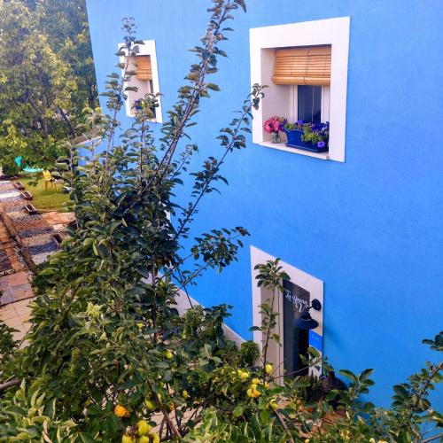 a blue building with two windows and a plant at Loft La buena vida in Peñaranda de Duero