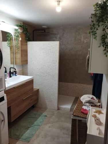une petite salle de bain avec un lavabo et une douche dans l'établissement Proche Cité du vin - idéal famille - Parking privé, à Bordeaux
