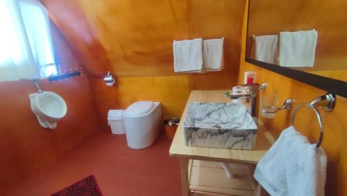 een badkamer met een toilet, een wastafel en een urinoir bij Titicaca Alpina HARMONY lodge in Puno
