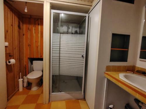 a bathroom with a shower and a toilet and a sink at Chambre privée au pays des volcans in Massiac