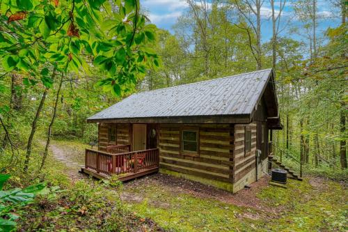 a log cabin in the middle of the woods at Cherokee in Logan