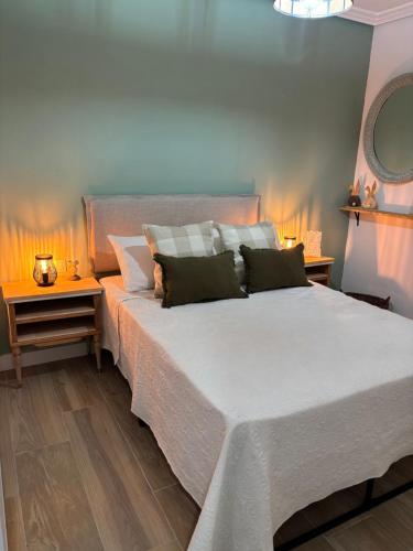 a bedroom with a large bed with two night stands at El Olivo Verde in Jaén