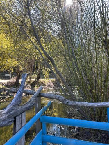 a blue fence next to a tree with a branch at Cabañas lo de Carlo in Puerto Tranquilo