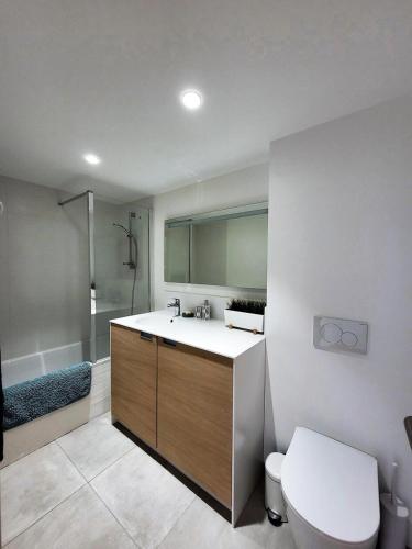 une salle de bain avec un lavabo, des toilettes et une douche dans l'établissement Résidence Ambrocella - Très bel appartement, lumineux, bel espace de vie MAE-0781, aux Gets