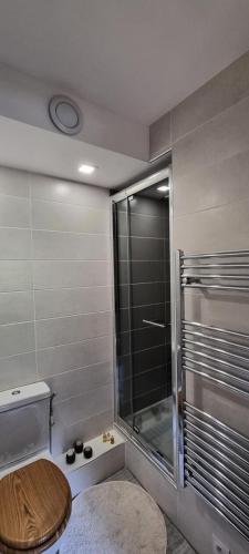 une salle de bain avec toilettes et douche en verre dans l'établissement Résidence Avenir 1800 - Appartement Duplex tout confort - ski aux pieds MAE-0581, à Aime La Plagne