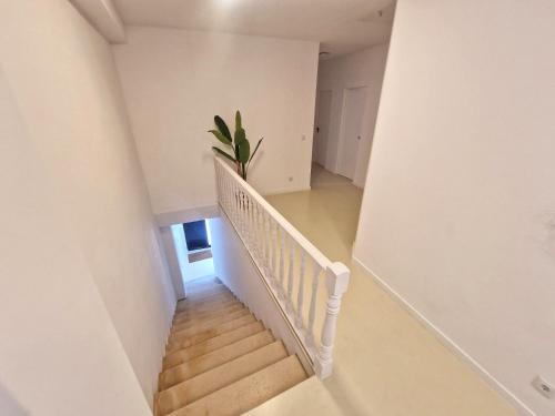 a staircase in a white room with a plant at Firstfloorby22 in Matosinhos