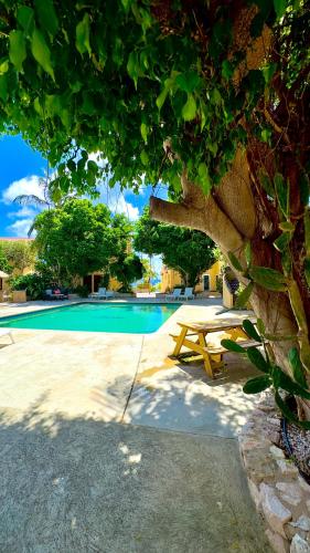 a picnic table under a tree next to a swimming pool at Appartement 8 & 9- Lagun blou resort - Curaçao in Lagun