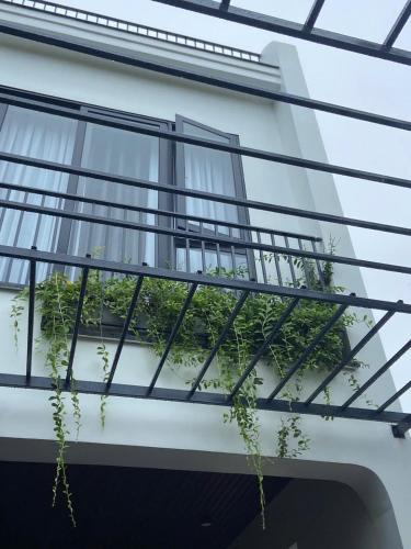 Un balcón o terraza en LavA homestay