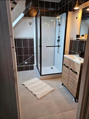 une salle de bain avec douche et lavabo dans l'établissement Spacieux - Parking Gratuit - Proche de Strasbourg, à Ostwald