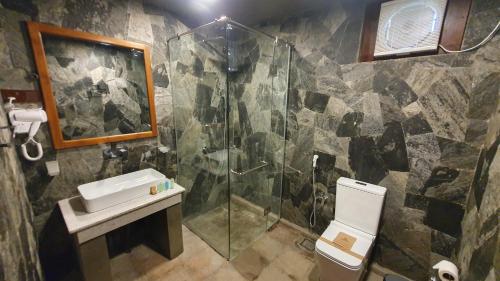 a bathroom with a shower and a toilet and a sink at Ceylon Resort Wilpattu in Wilpattu