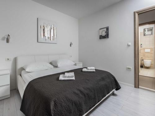 Apartment Villa Andelka with Swimming Pool