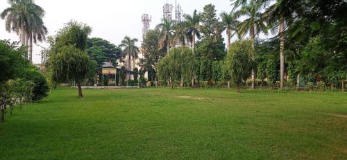 Taman di luar Homestay Comfort Villa