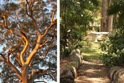 Κήπος έξω από το Jan's Retreat by Experience Jervis Bay