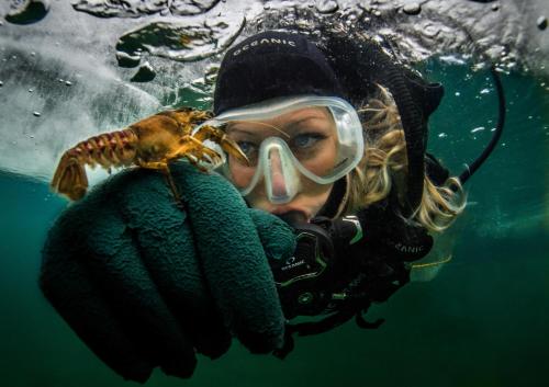 a woman underwater with a shrimp in the water at Appartements Herwig Schwarzenbacher in Weissensee