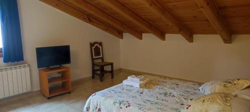 a bedroom with a bed and a tv on a table at ALTOGREDOS Hotel Rural y apartamentos turísticos in Hoyos del Espino
