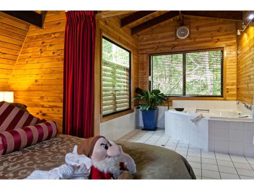 The Mouses House Rainforest Retreat, Springbrook (updated prices 2025)